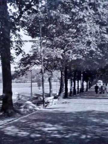 Wejście główne do Parku Śląskiego 12 Wejście główne do Parku Śląskiego 12