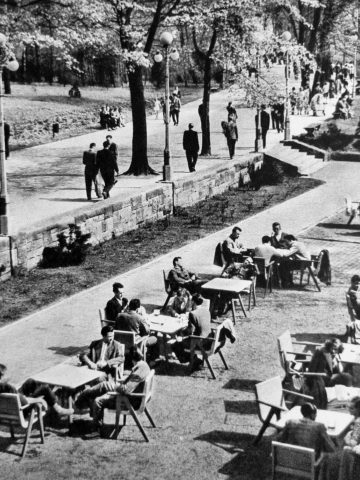 Zaginiony Park Śląski Zaginiony Park Śląski
