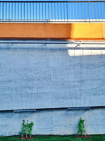 Zielony Chorzów 2 Zielony Chorzów 2