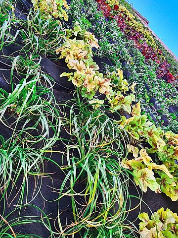 Zielony Chorzów 3 Zielony Chorzów 3