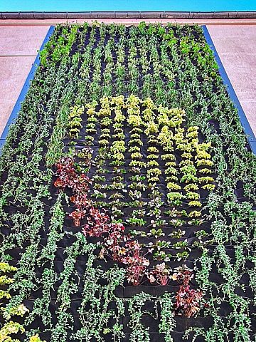 Zielony Chorzów 4 Zielony Chorzów 4