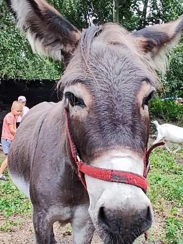 Akukuotwarcie10 Akukuotwarcie10