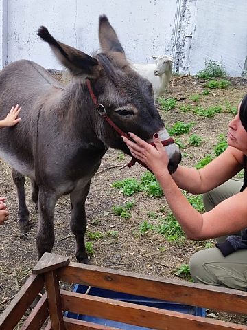 Akukuotwarcie9 Akukuotwarcie9