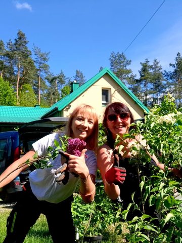 Prace w Macondo Prace w Macondo