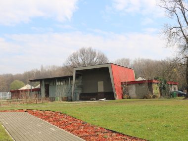 Chorzow zoo Las Deszczowy w pawilonie żyraf