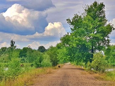 Decyzja wojewody ws Żabich Dołów to błąd urzędniczy