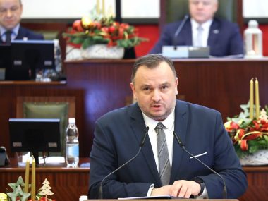 In vitro i Fala w Parku Śląskim to priorytety w budżecie Jakub Chełstowski