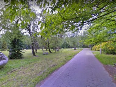 Park Śląski Aleja Łani