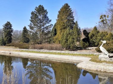 Park Śląski Ogród Bylinowy Park Śląski Ogród Bylinowy