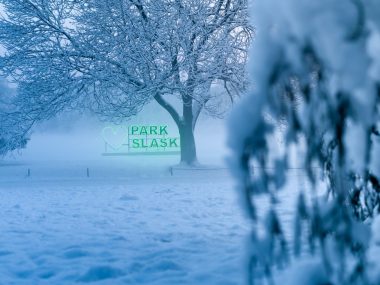 Park Śląski zima