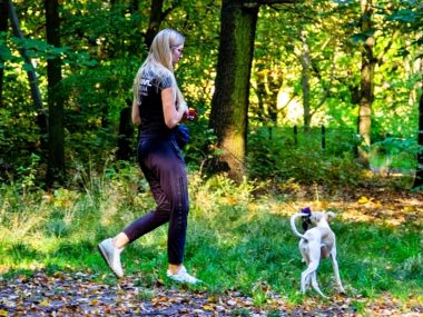 Park Śląski Modernizacja wybiegu dla psów