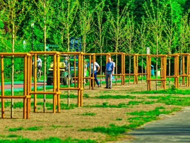 Park Śląski Nasadzenia na promenadzie gen Ziętka 1