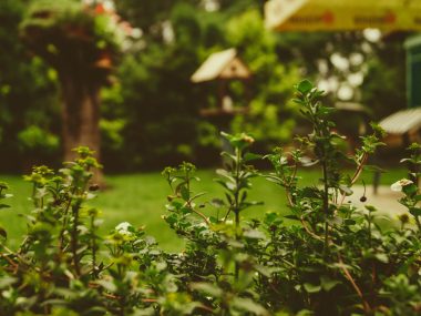 Martin knize Jj T 7 Mw R Em4 unsplash Martin knize Jj T 7 Mw R Em4 unsplash