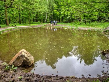 Park slaski