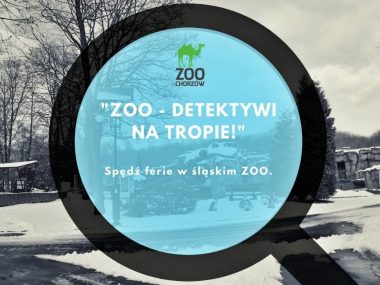 Zoo detektywi Zoo detektywi