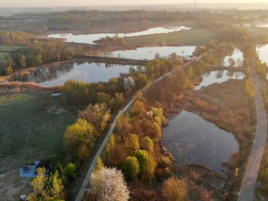Żabie Doły. Jak patrzeć na ręce politykom i przedsiębiorcom Żabie Doły
