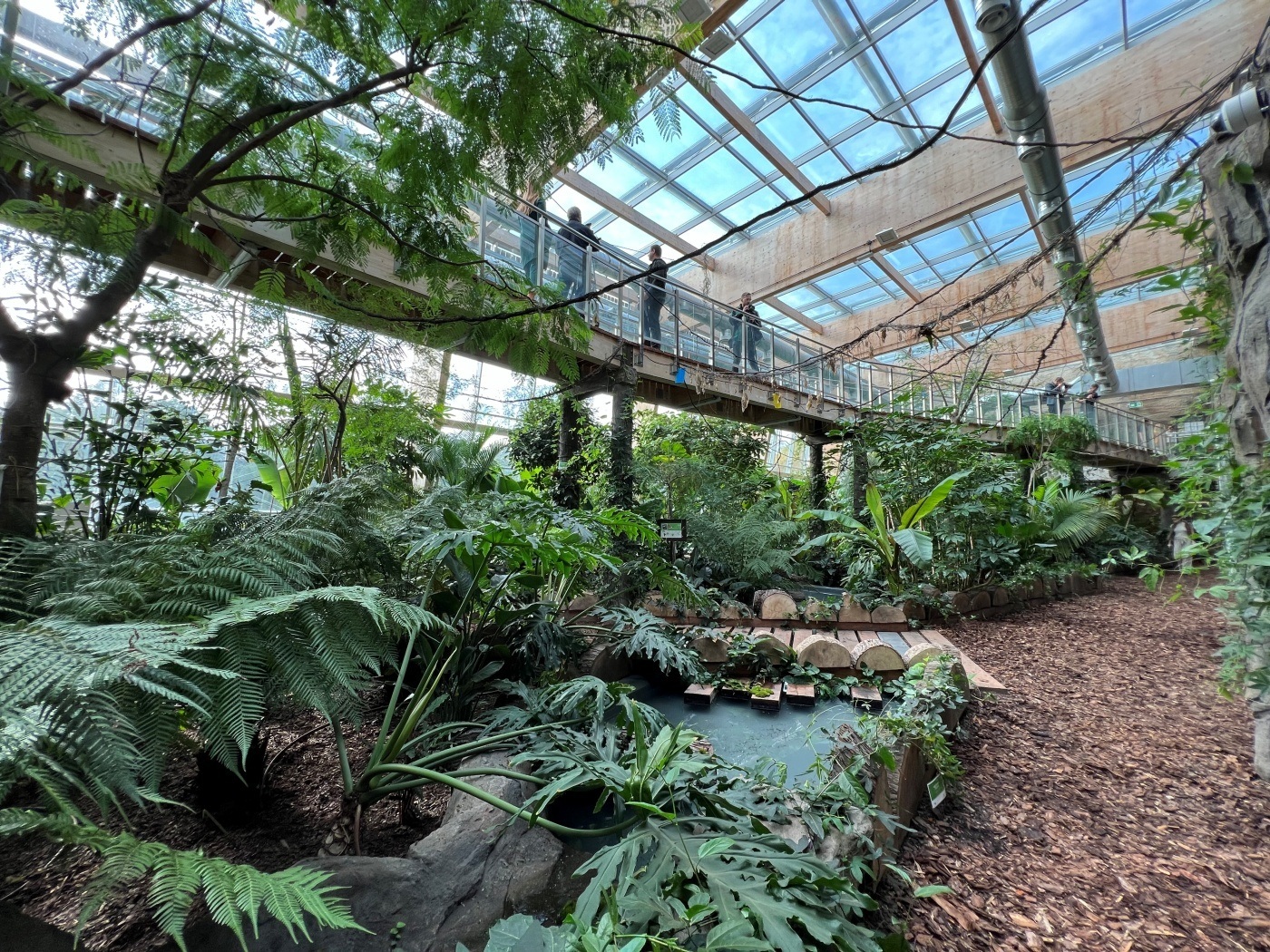 Dzień Lasu w śląskim zoo. Zaplanowano wiele atrakcji