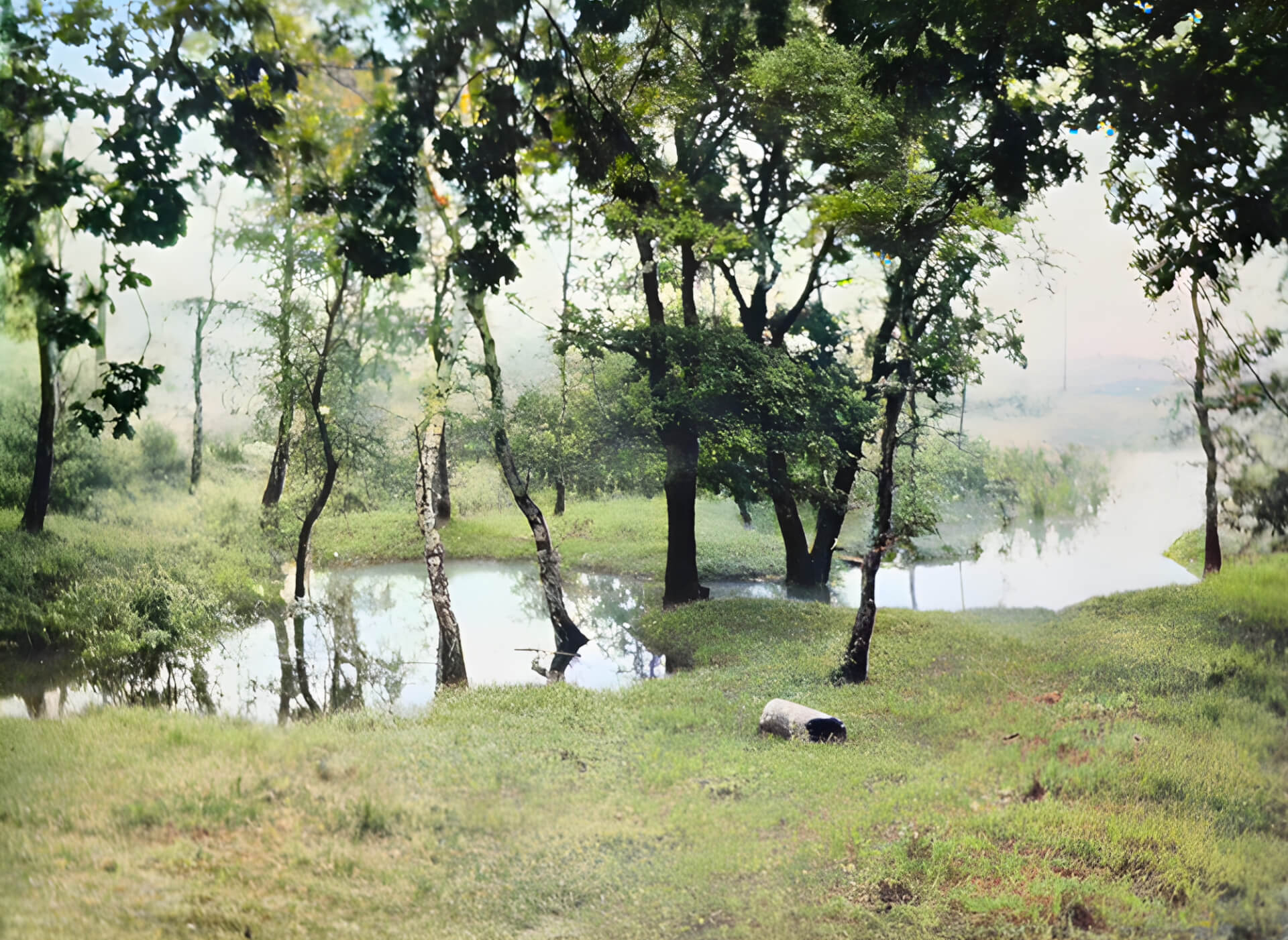 Co jest najstarsze w Parku Śląskim? Woda, która pamięta!