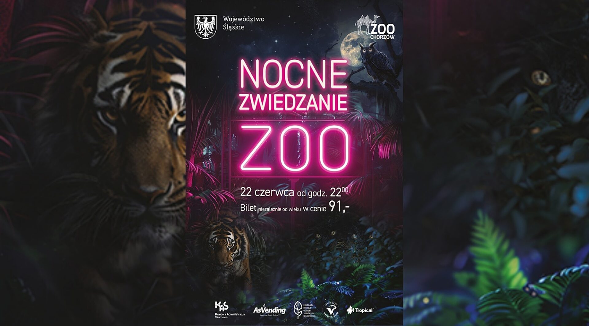 Chorzow zoo nocne zwiedzanie Chorzow zoo nocne zwiedzanie