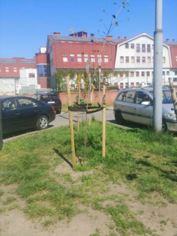 Chorzow wandale 10 Chorzow wandale 10