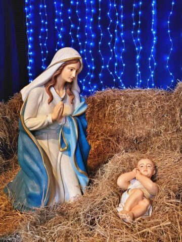 Slaskie zoo szopka 5 Slaskie zoo szopka 5