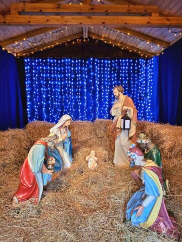 Slaskie zoo szopka 8 Slaskie zoo szopka 8