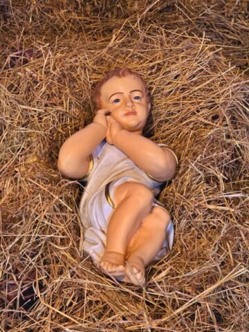 Slaskie zoo szopka 9 Slaskie zoo szopka 9