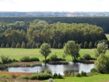 Park Myslecinek w Bydgoszczy Park Myslecinek w Bydgoszczy