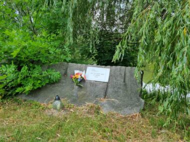 Przyrodnicza gra terenowa w parkowej aplikacji zawiera fatalne wpadki 2 Przyrodnicza gra terenowa w parkowej aplikacji zawiera fatalne wpadki 2