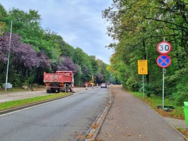 Ulica Parkowa w Chorzowie zostanie wyłączona z ruchu. Rusza kolejny etap przebudowy Ulica Parkowa w Chorzowie zostanie wyłączona z ruchu. Rusza kolejny etap przebudowy