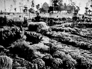 Leśniczówka – zaginiona historia w sercu Parku Śląskiego Park slaski lesniczowka