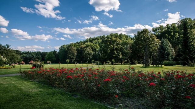 Rosarium park slaski 7 Rosarium park slaski 7