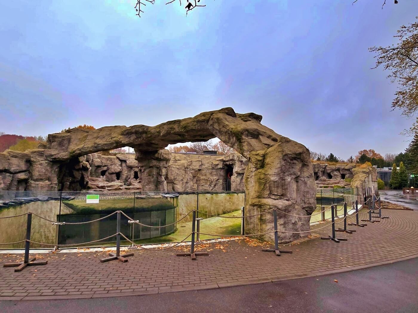 Chorzow zoo pingwiny 1