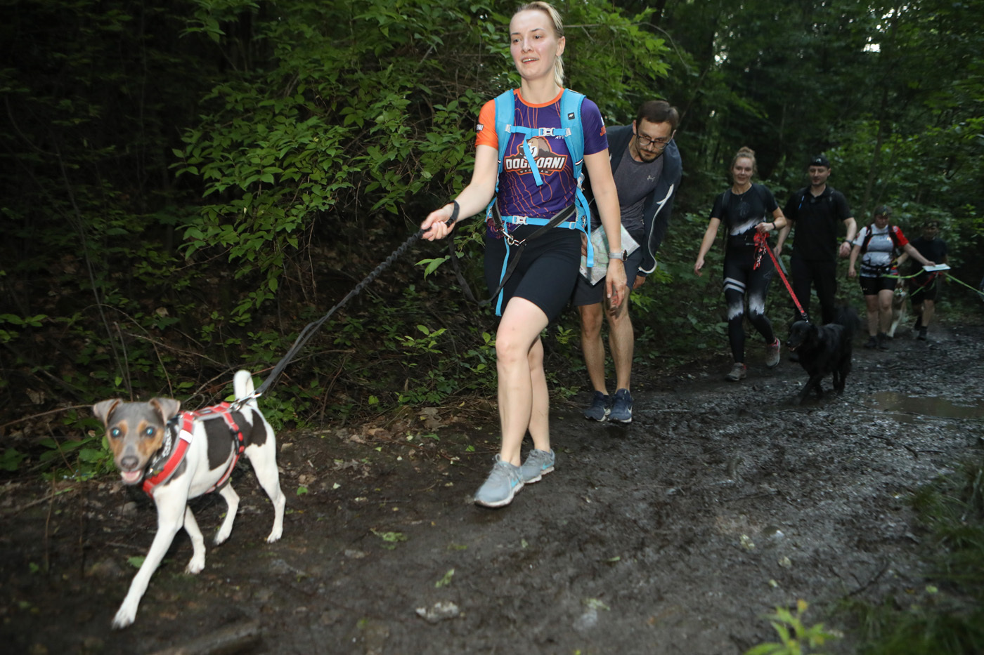 Dogtrekking park slaski 13
