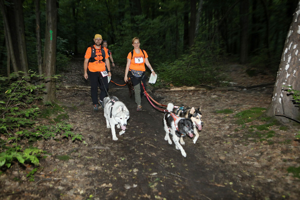 Dogtrekking park slaski 16