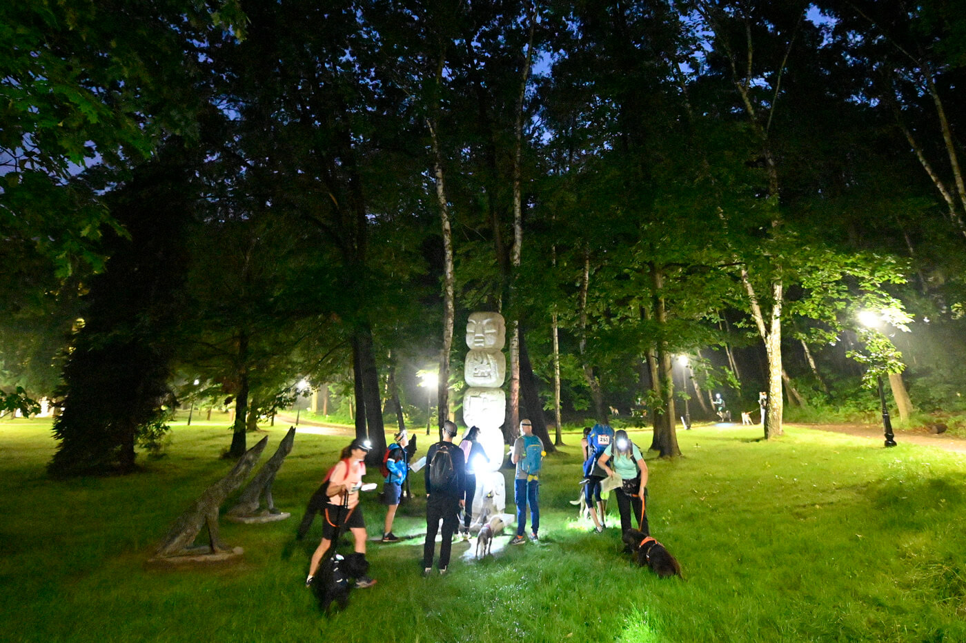 Dogtrekking park slaski 27