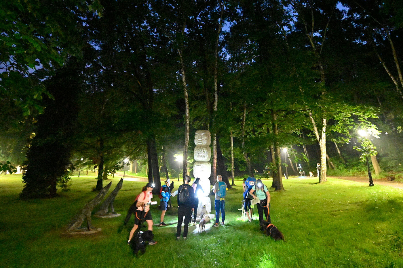 Dogtrekking park slaski 27