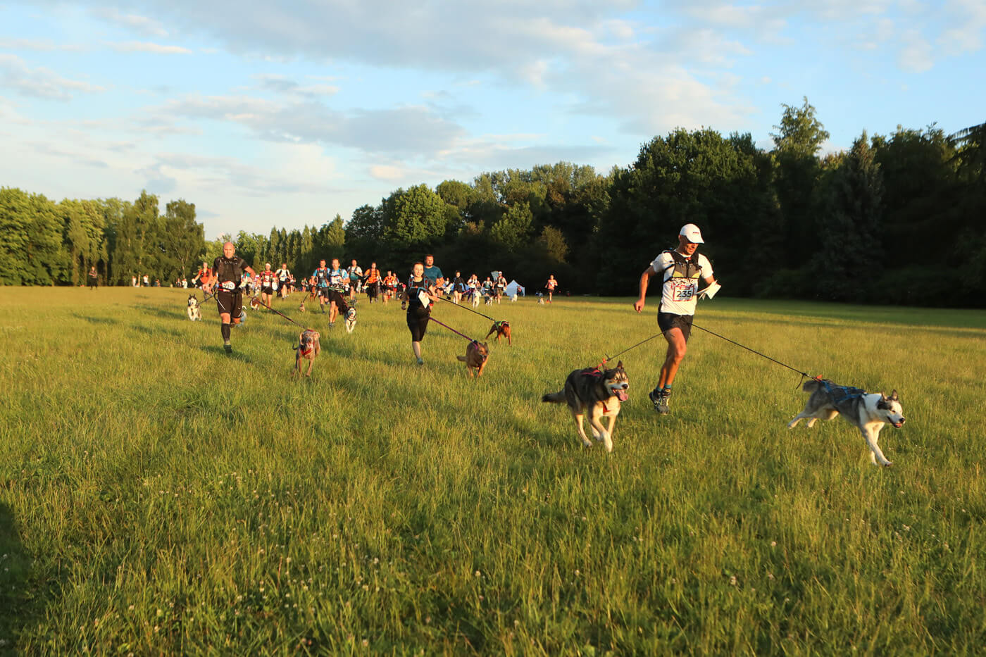 Dogtrekking park slaski 3