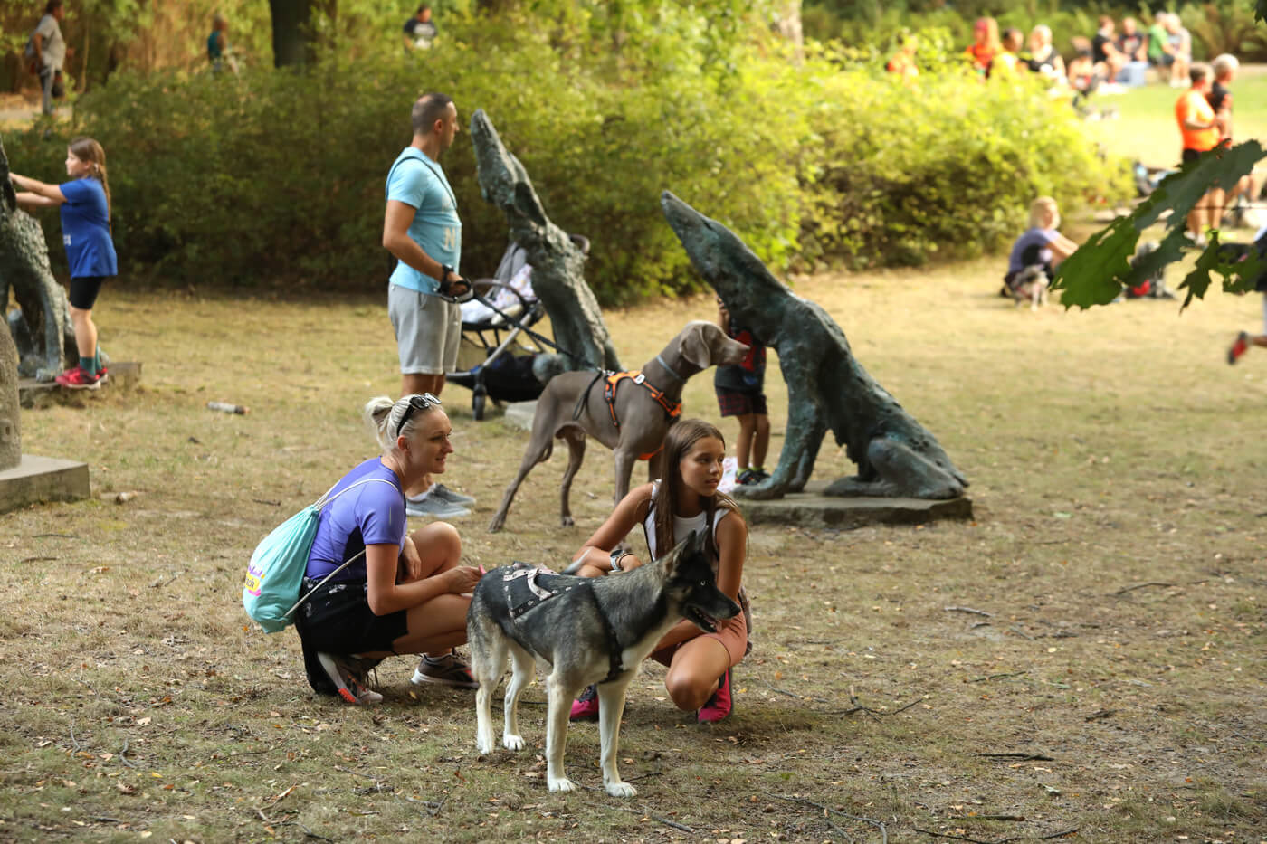 Dogtrekking park slaski 4