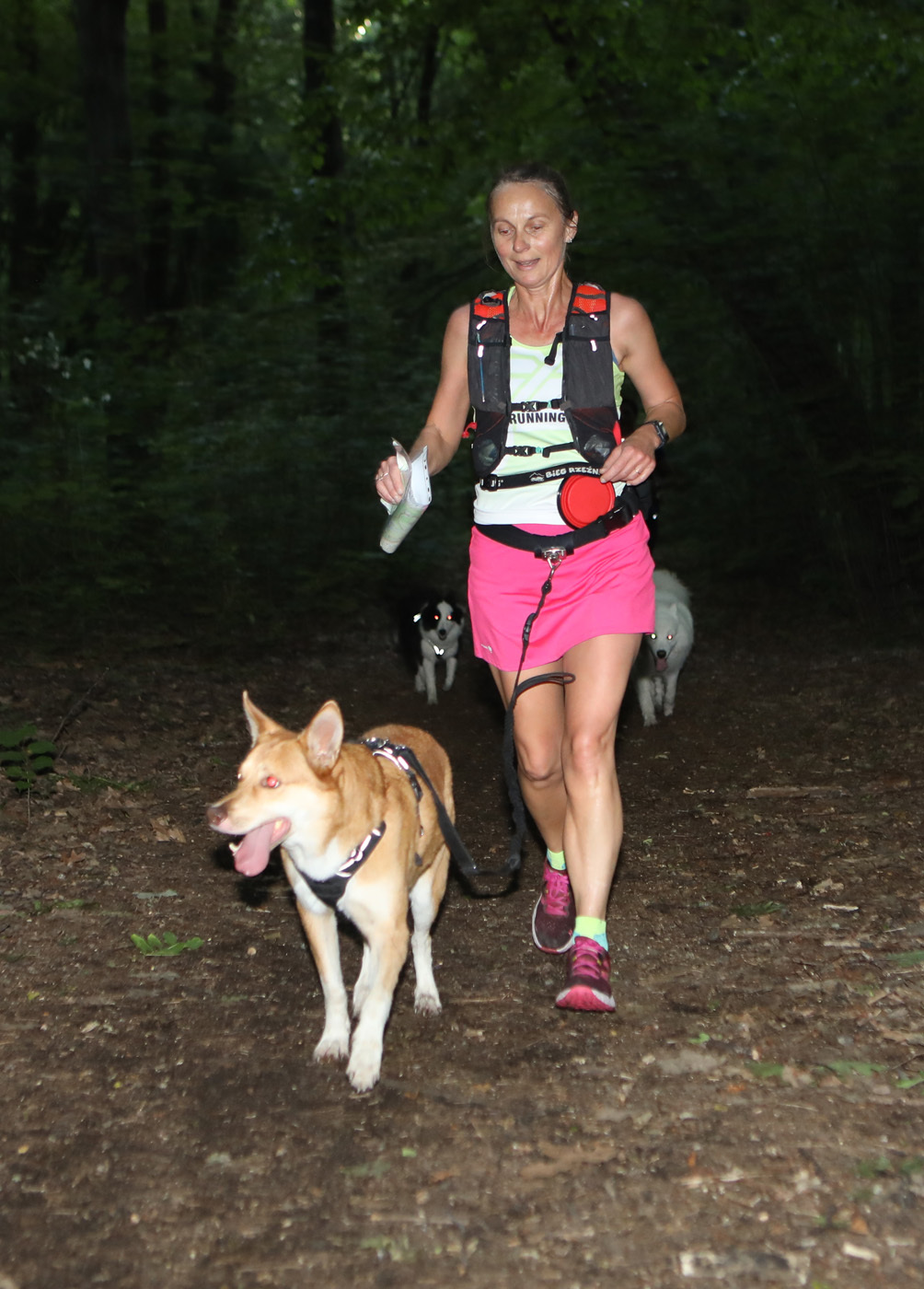 Dogtrekking park slaski 7