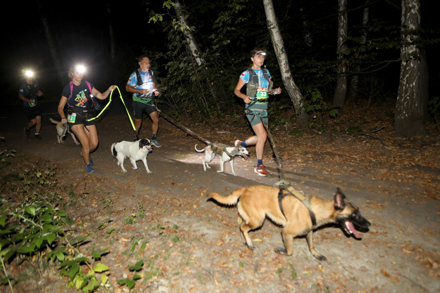 Dogtrekking park slaski 8