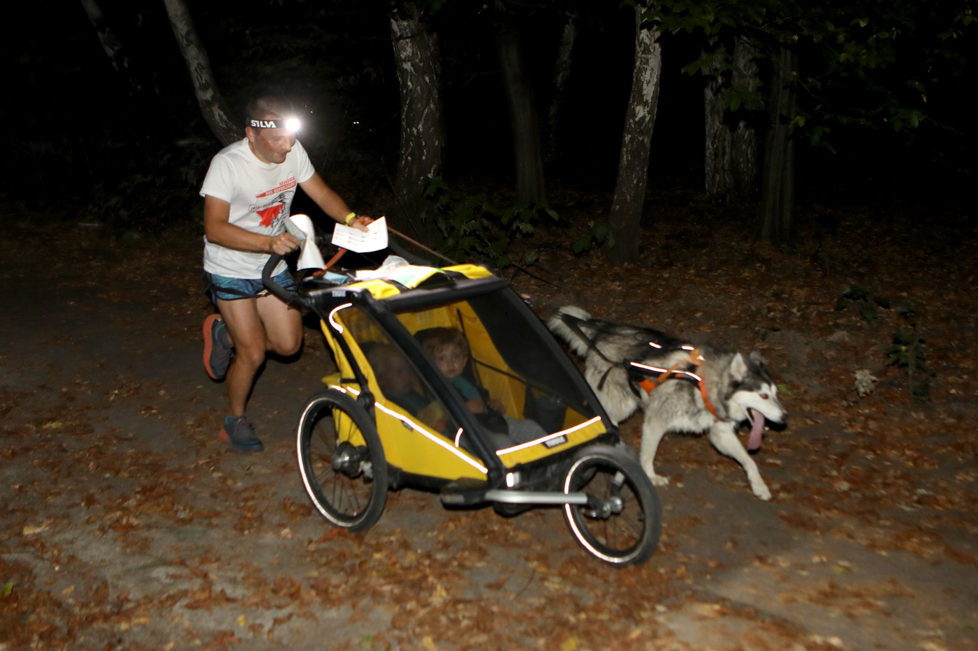 Dogtrekking park slaski 9