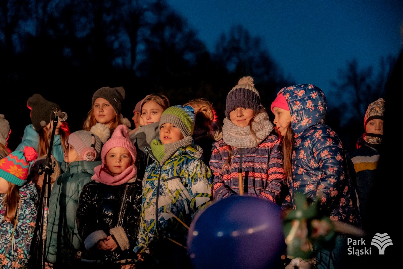 Kulinarny ogien rozswietlenie choinki park slaski 14