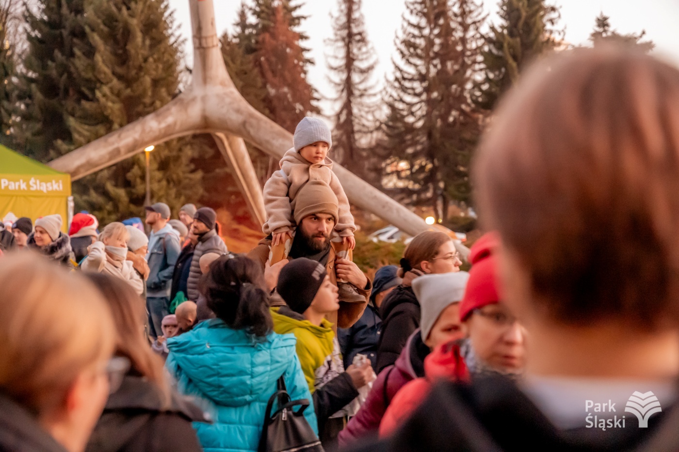 Kulinarny ogien rozswietlenie choinki park slaski 15