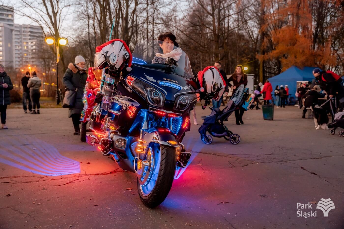 Kulinarny ogien rozswietlenie choinki park slaski 19