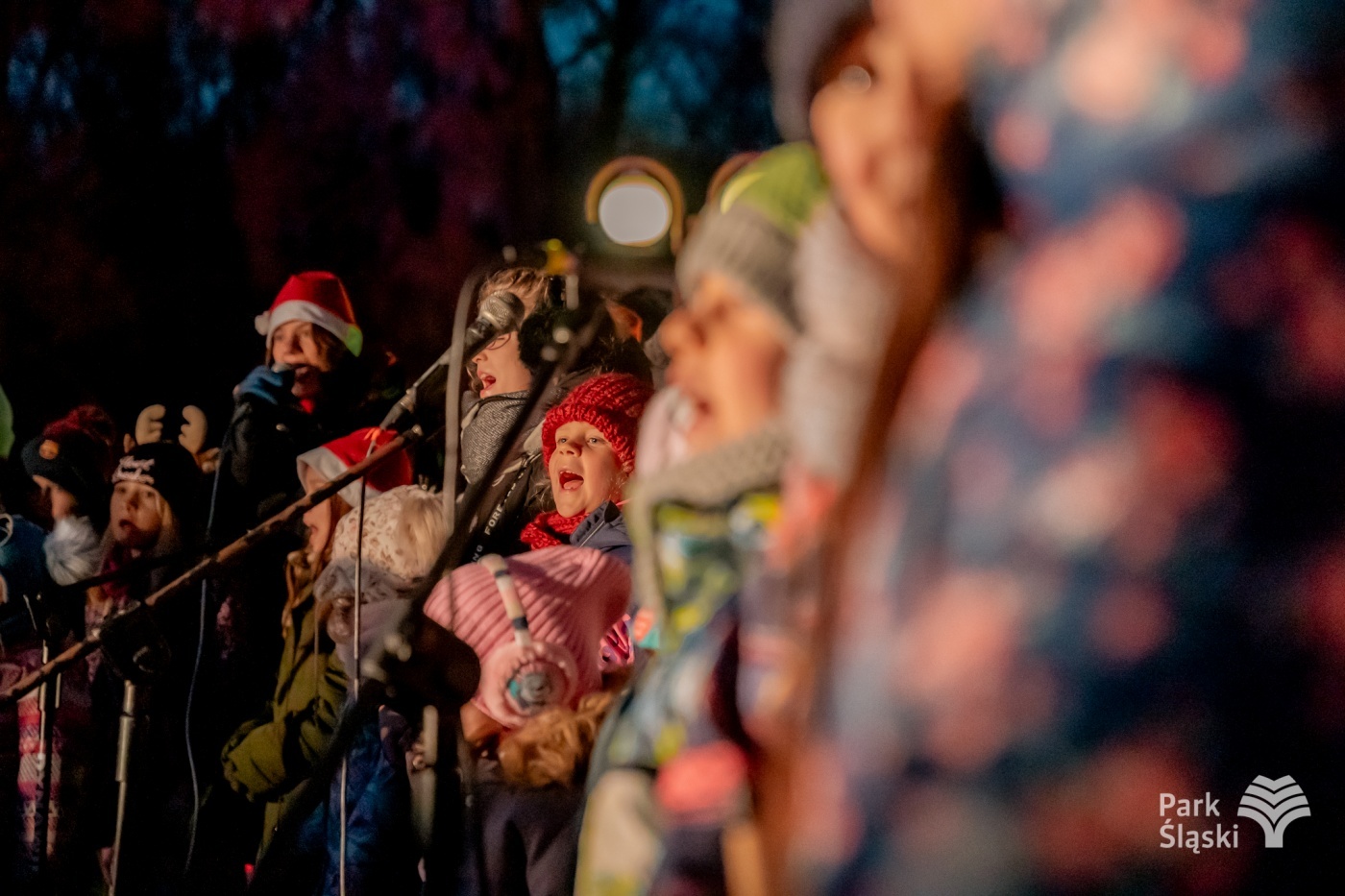 Kulinarny ogien rozswietlenie choinki park slaski 21