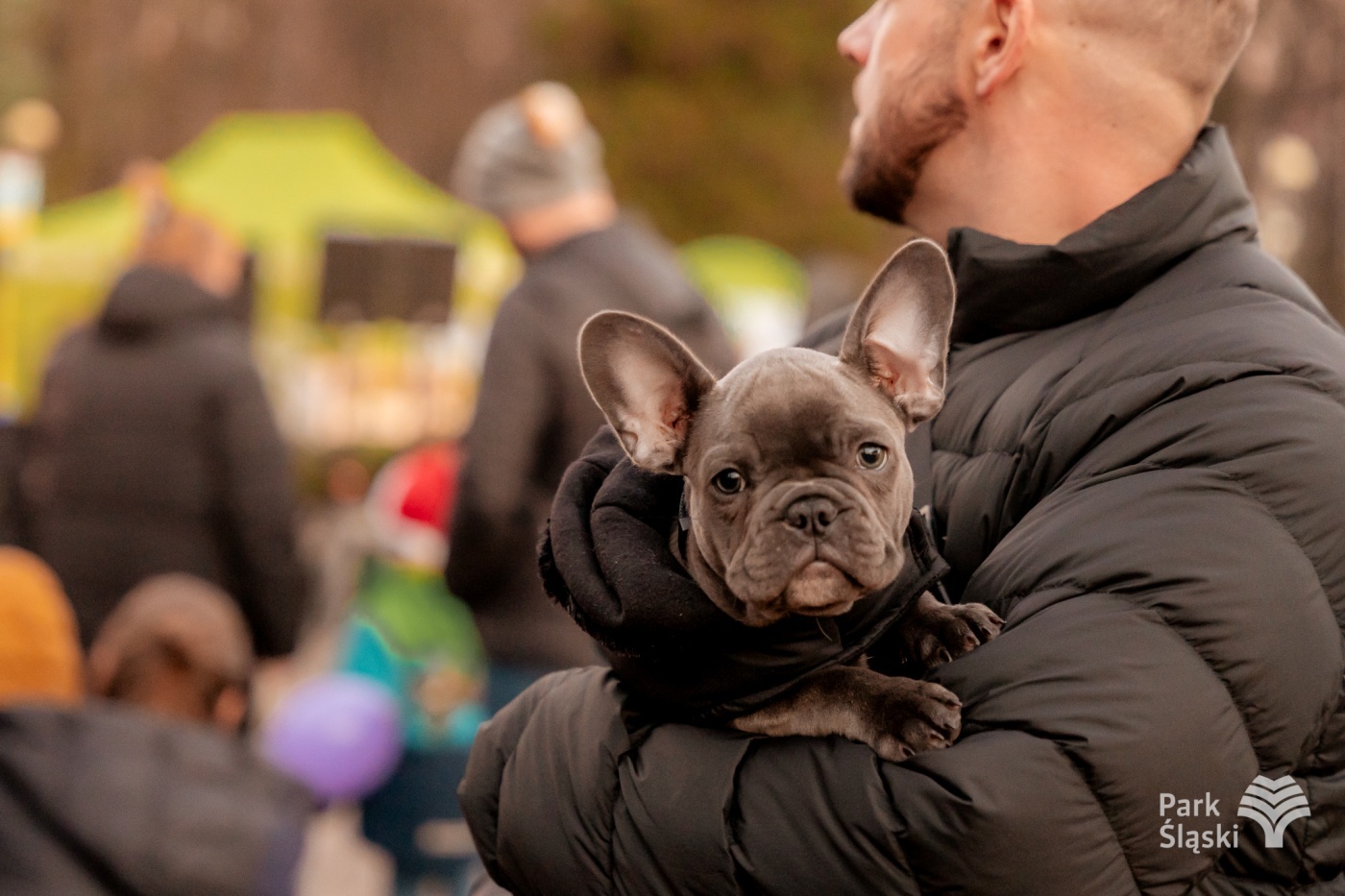 Kulinarny ogien rozswietlenie choinki park slaski 24