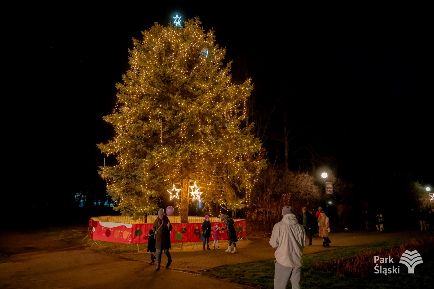 Kulinarny ogien rozswietlenie choinki park slaski 29