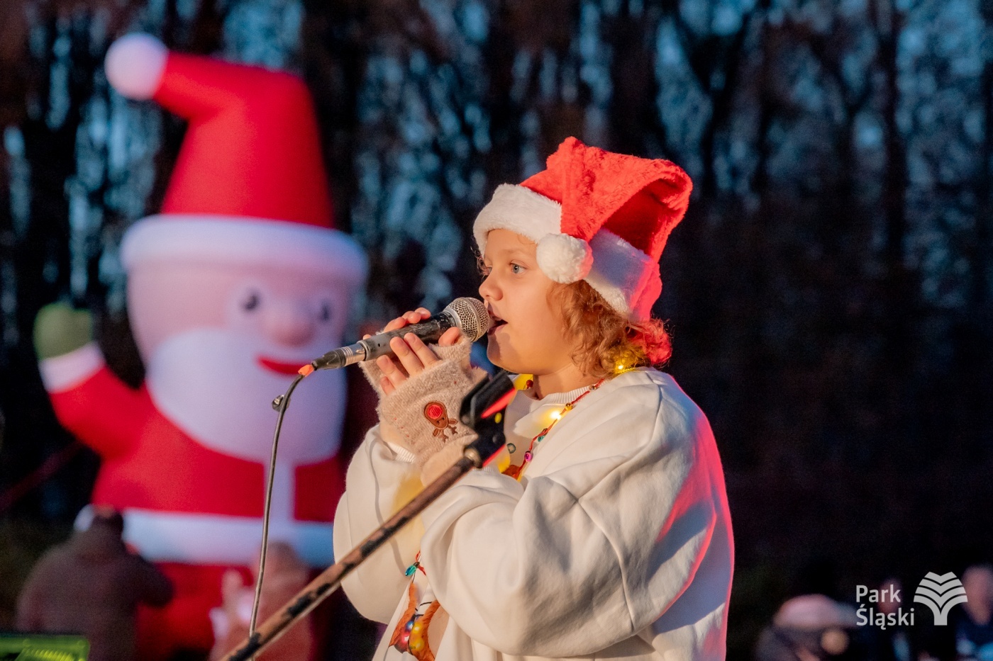 Kulinarny ogien rozswietlenie choinki park slaski 3