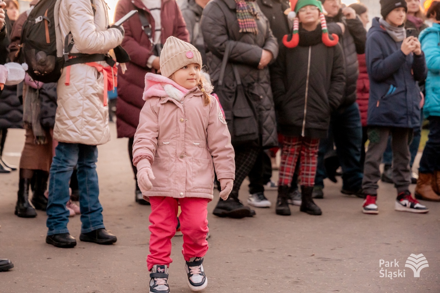 Kulinarny ogien rozswietlenie choinki park slaski 8
